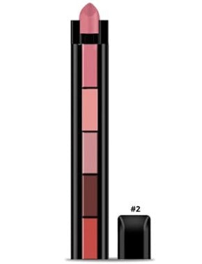 Professional Beauty Fabulous Matte Finish Shades 5 in 1 Nude Edition Lipstick for Women and Girls